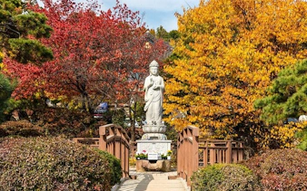 Buddha statue on a wooden bridge surrounded by autumn trees in a Korean garden.