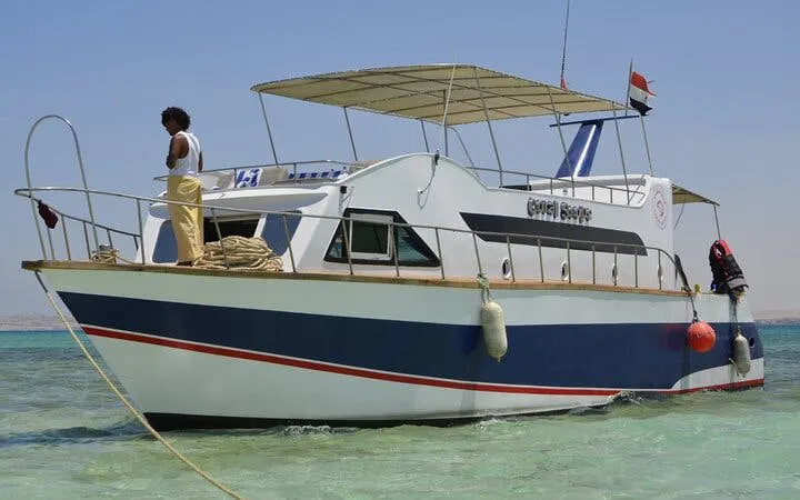 Glass Boat Sea Trip 1 hour With Transportation - Sharm El Sheikh Image 10