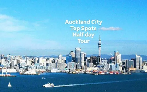 Auckland skyline with Sky Tower and harbor, featured in a small group half-day tour.