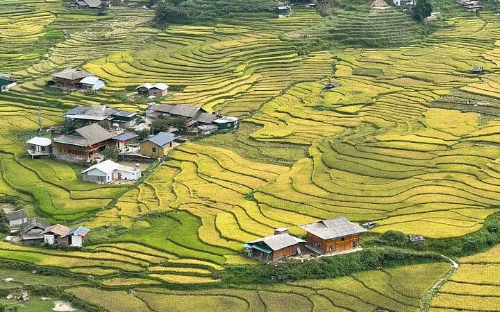 Terraced rice fields and village houses in Sapa, Vietnam, part of a trekking and homestay tour.