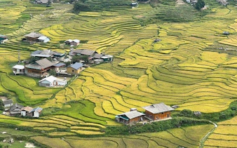 Terraced rice fields and village houses in Sapa, Vietnam, part of a trekking and homestay tour.