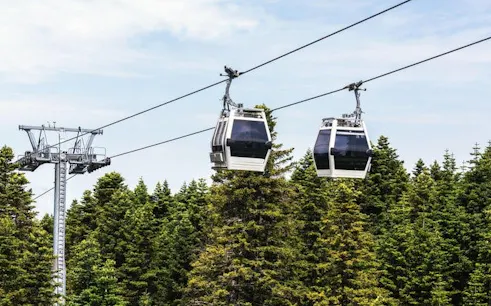Cable cars over forest in Bursa, Turkey, part of the cultural and historical day tour.