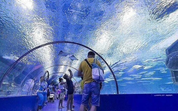 alanya akvaryum ve eğlence parkı turu – otelden servis hizmeti dahil her şey dahil-9