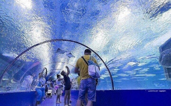 all-inclusive-tour zum alanya aquarium und fun park mit abholung vom hotel-9