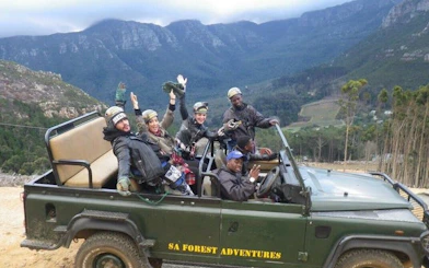 Cape Town Private Ziplining Tour in Constantia Winelands with Scenic Drives and Penguin Viewing