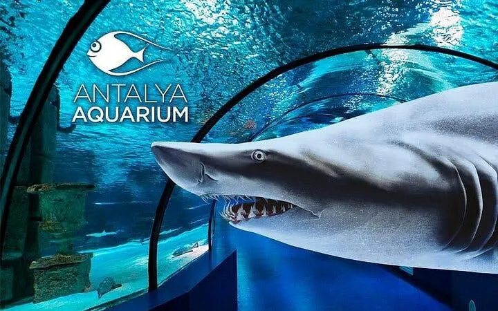tur til antalya aquarium & fun park – alt inkludert med henting på hotellet-9
