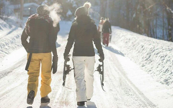 Lapland Snowshoeing Tour with Wild Lunch