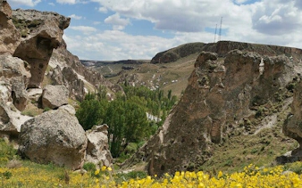 Cappadocia scenic valley with rock formations and greenery under a cloudy sky.