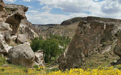 Cappadocia scenic valley with rock formations and greenery under a cloudy sky.