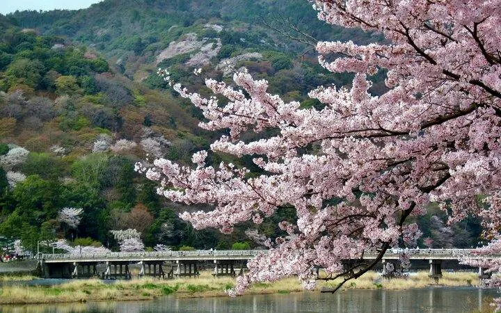 Kyoto: Arashiyama UNESCO Walking Tour with Admission (Product 56575)