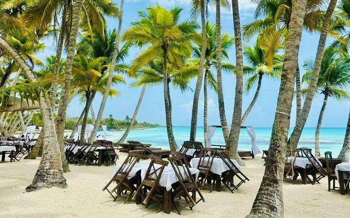Beachside dining setup under palm trees on Saona Island, Punta Cana.