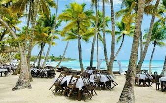 Beachside dining setup under palm trees on Saona Island, Punta Cana.