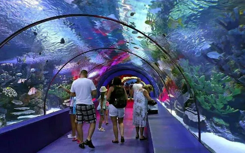 tour naar het antalya aquarium & fun park – all-inclusive inclusief ophalen bij je hotel-1