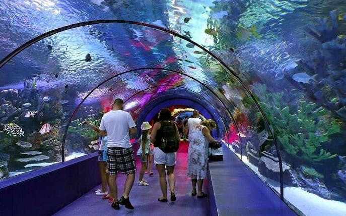 tour al acuario y parque de atracciones de antalya: todo incluido con salida en el hotel-1