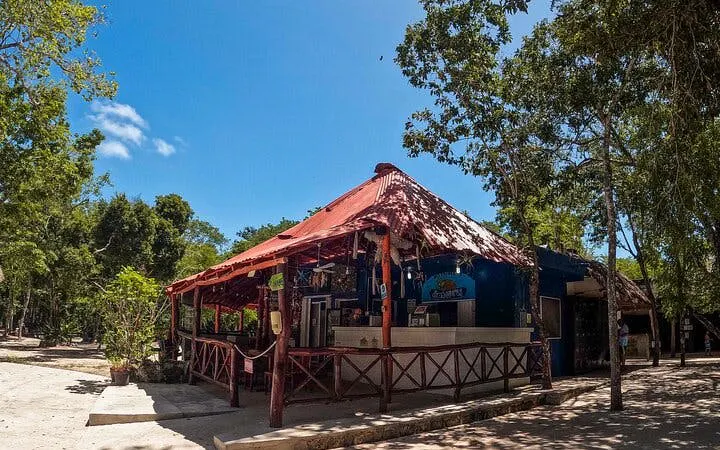 Cenotes Casa Tortuga entrance with rustic building and surrounding trees.