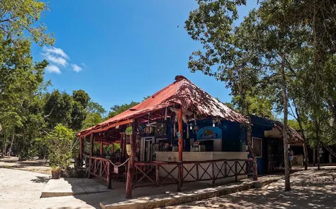 Cenotes Casa Tortuga entrance with rustic building and surrounding trees.