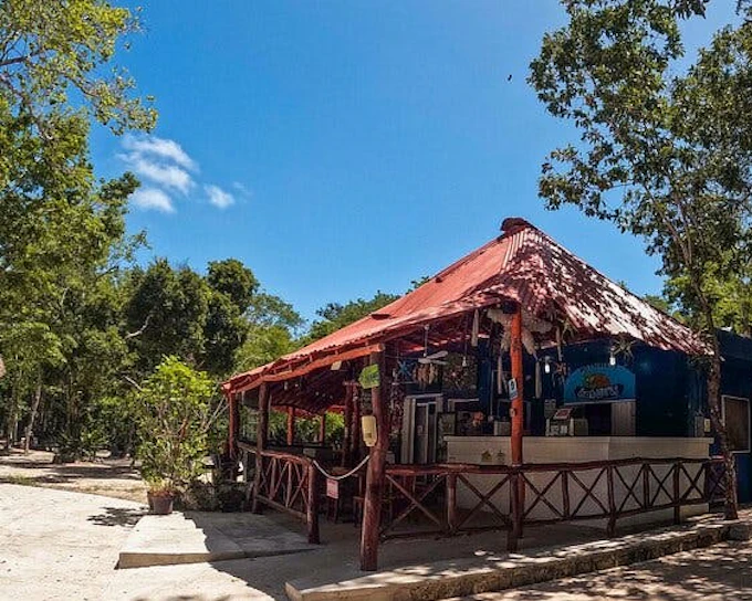 Cenotes Casa Tortuga Guided Tour: 5 Cenotes Exploration Ticket (Product 53555)