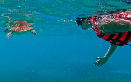 Akumal Snorkeling With Turtles