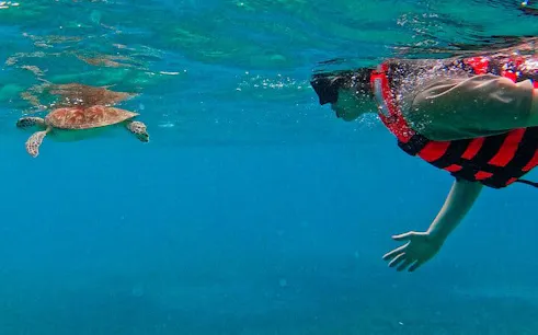 Snorkeler in Akumal swimming near a sea turtle.