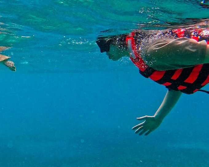 Akumal Snorkeling With Turtles (Product 53462)