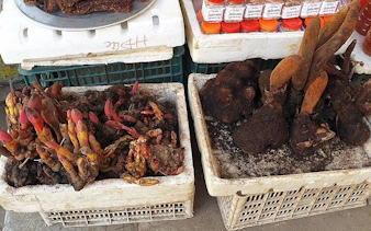 Local spices and roots displayed at a market stall in Sapa during a guided culinary tour.