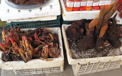 Local spices and roots displayed at a market stall in Sapa during a guided culinary tour.