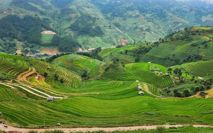 Terraced rice fields in Mu Cang Chai, Vietnam, with lush green hills and scattered huts.