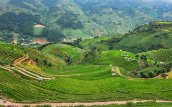 Terraced rice fields in Mu Cang Chai, Vietnam, with lush green hills and scattered huts.
