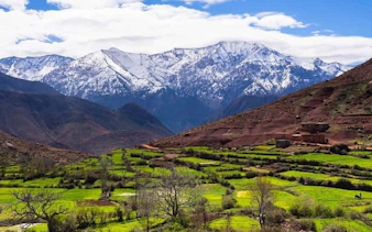 Atlas Mountains with snow-capped peaks and green Berber village fields near Marrakesh.