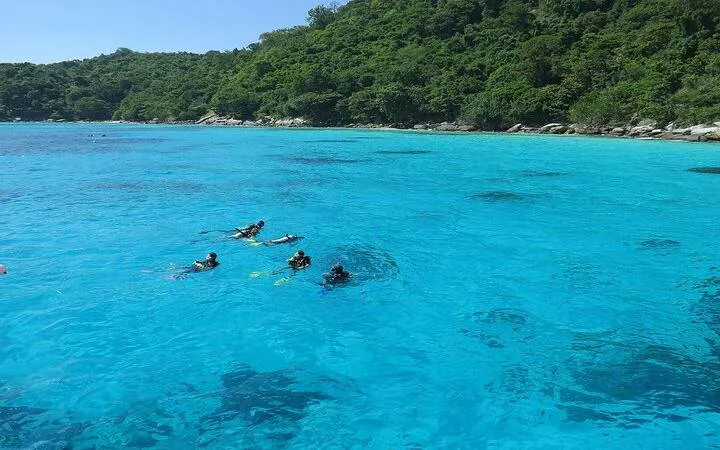 Snorkelers in clear blue waters near lush green Banana Beach, Koh Hey, Phuket.