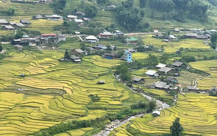 Sapa rice terraces and village view, Vietnam, part of trekking and homestay tour.