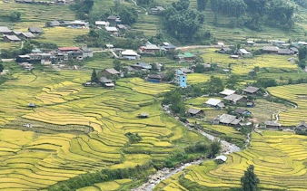 Sapa rice terraces and village view, Vietnam, part of trekking and homestay tour.