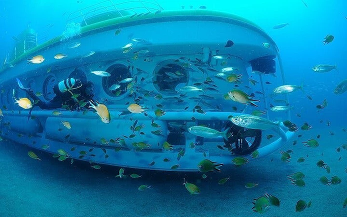 Submarine surrounded by fish during Tenerife underwater tour.