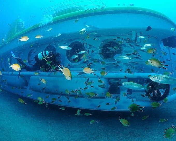 Tenerife Submarine Tour: 1 Hour, No Hotel Pickup