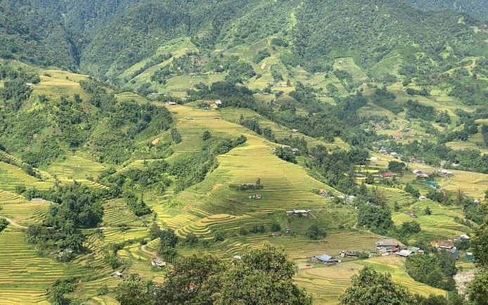 Sapa terraced rice fields and mountains on 21km guided trail-running tour.