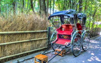 Rickshaw on path in Arashiyama Bamboo Forest, Kyoto, during private morning tour.
