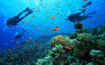 antalya scuba diving & snorkeling tour with lunch-5