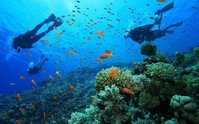 Antalya Scuba Diving & Snorkeling Tour with Lunch