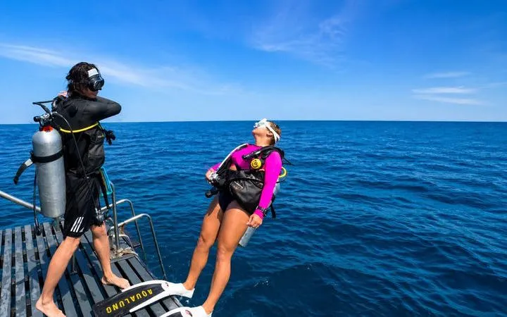 from sharm el sheikh: ras mohamed & white island boat trip with snorkeling and intro dive-7