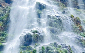 Water cascading down Queen Bee Waterfall in Sapa, surrounded by lush greenery.