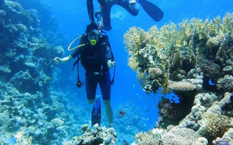 Snorkeler exploring coral reef during Tiran Island sea trip, Sharm El Sheikh.