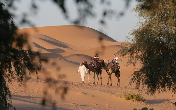 Camel ride through desert dunes during morning safari.