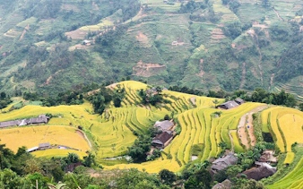 Terraced rice fields in Bac Ha, Vietnam, with traditional houses and lush green hills.