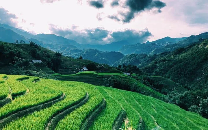 Sapa rice terraces with mountains in the background, Vietnam.