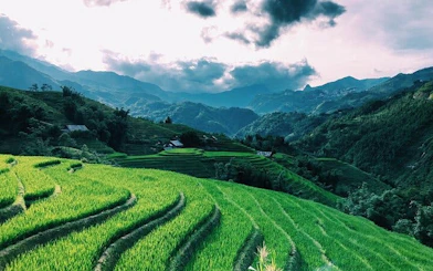 Sapa rice terraces with mountains in the background, Vietnam.