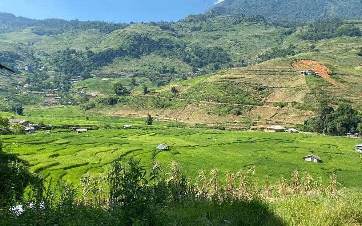 Sapa rice terraces on Y Linh Ho trail with lush green fields and distant hills.