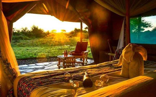 From Arusha: Serengeti, Ngorongoro Crater, Tarangire & Lake Manyara Safari