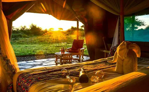 Safari tent interior with sunrise view in Serengeti, featuring a bed and towel elephant.