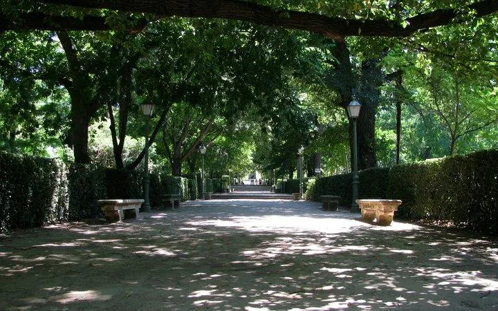 Pathway through lush greenery at Real Jardín Botánico, Madrid.