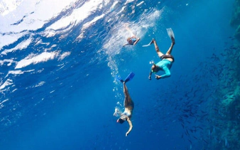 Snorkelers exploring underwater near Sharm El Sheikh during a private speedboat tour.